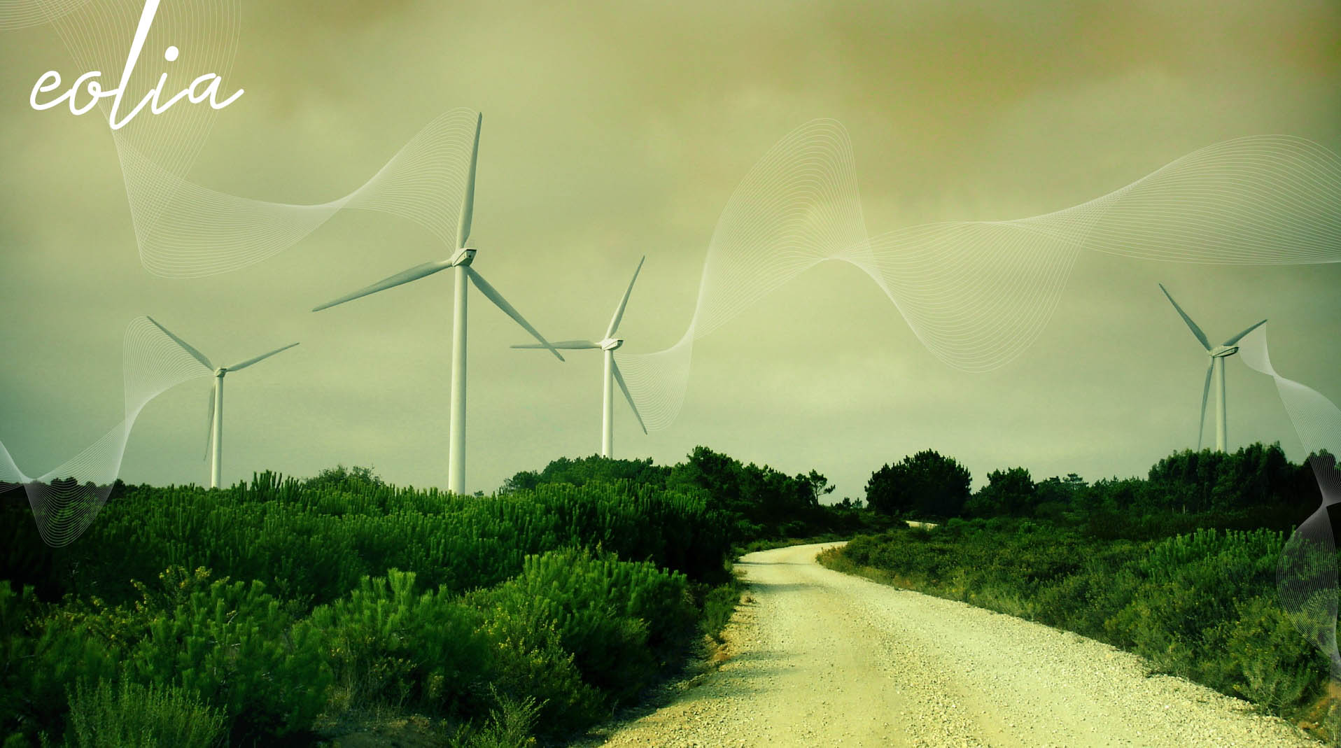 EOLIA business game Optigest